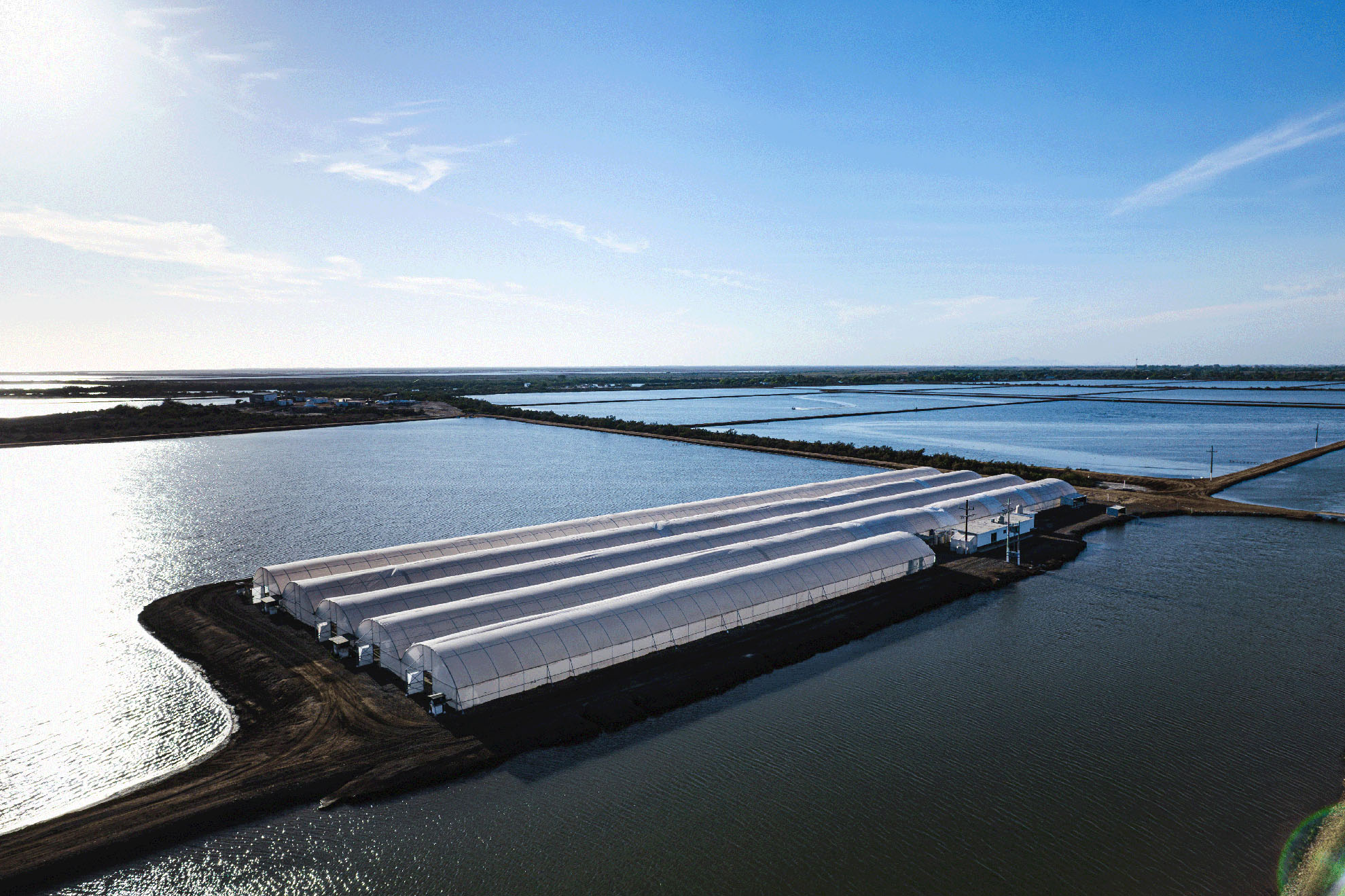 Granjas camaroneras Belpa, Culiacán Sinaloa